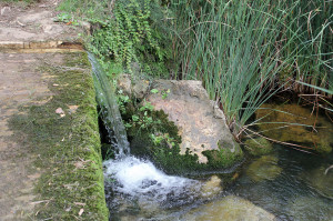 L'acqua delle sorgenti di Domusnovas.