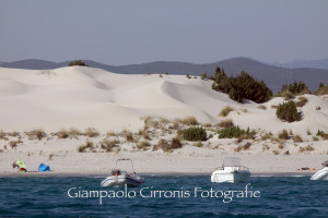 Le dune 7