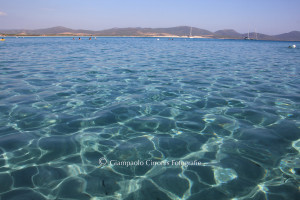 Porto Pino 23 luglio 2013 7