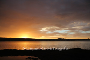 Tramonto in laguna copia