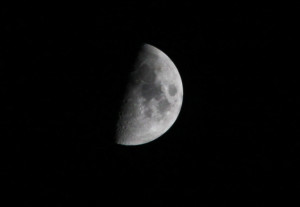Luna 8 gennaio 2014