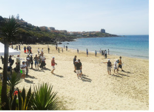 Portopaglietto pulita 3