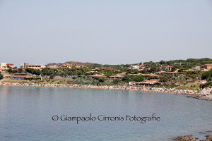 Portopaglietto 6 agosto 2013