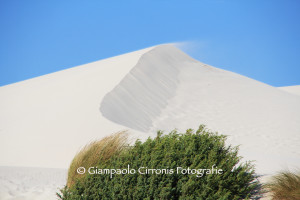 Le dune di Teulada 1 copia