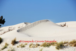 Le dune di Teulada 2 copia
