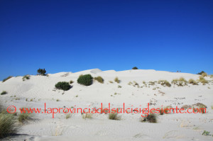 Le dune 14