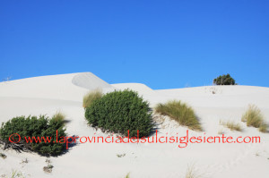 Le dune 20