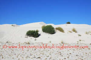 Le dune 21