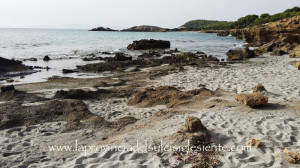 Angoli di Sardegna (12 ottobre 2014) 3