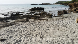 Angoli di Sardegna (12 ottobre 2014) 6