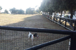 Area cani di Iglesias