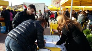 firme banco sardegna