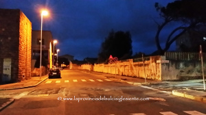 Alberi tagliati in via Trieste 2