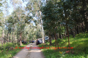 La festa della montagna 3