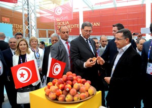 Expo 2015 Tunisia 3