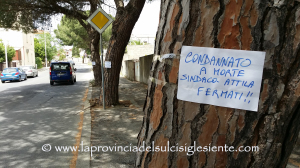 Taglio di alberi in via Trieste 1