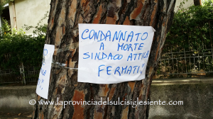 Taglio di alberi in via Trieste 2