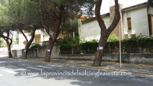 Taglio di alberi in via Trieste