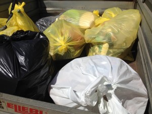 Habitat e rifiuti La Maddalena 1