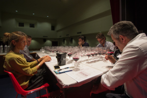 Wine-and-Sardinia-2015-web-#02