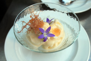 ANGOLA-BAOBAB-UFF-STAMPA10114