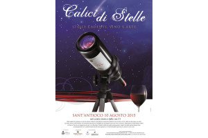 CaliciStelle2015