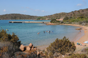 La Maddalena bioblitz0132
