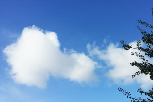 E' tornato il sereno