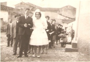 Pinna-Sanna_013-300x209